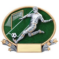 Soccer, Male 3D Oval Resin Awards - Small - 7" x 5-1/2" Tall